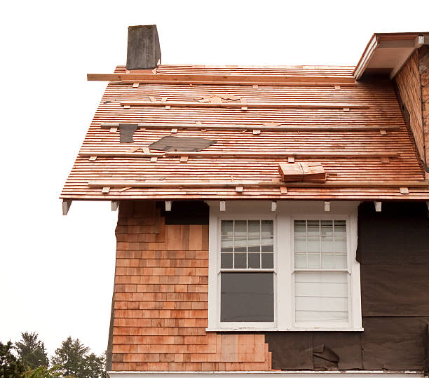 Affordable Siding Repair and Maintenance Services in Alice, TX